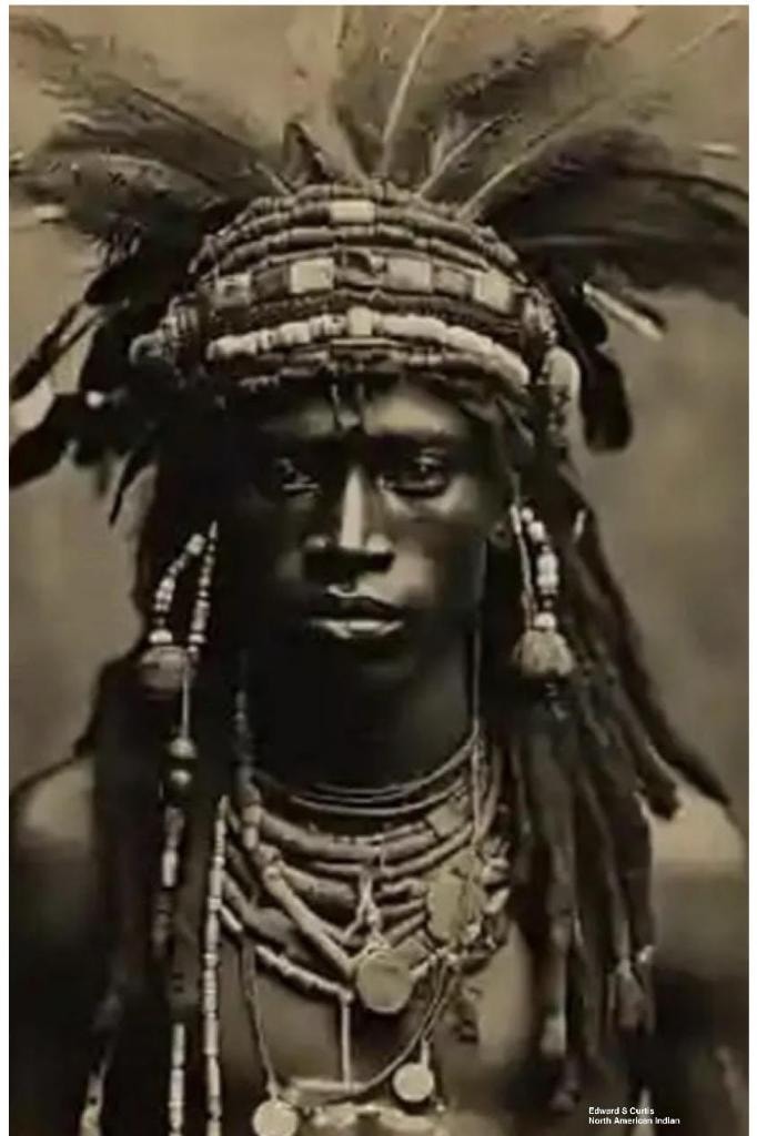 Edward S. Curtis — North American Indian in full feathered headdress and ceremonial regalia, sepia portrait