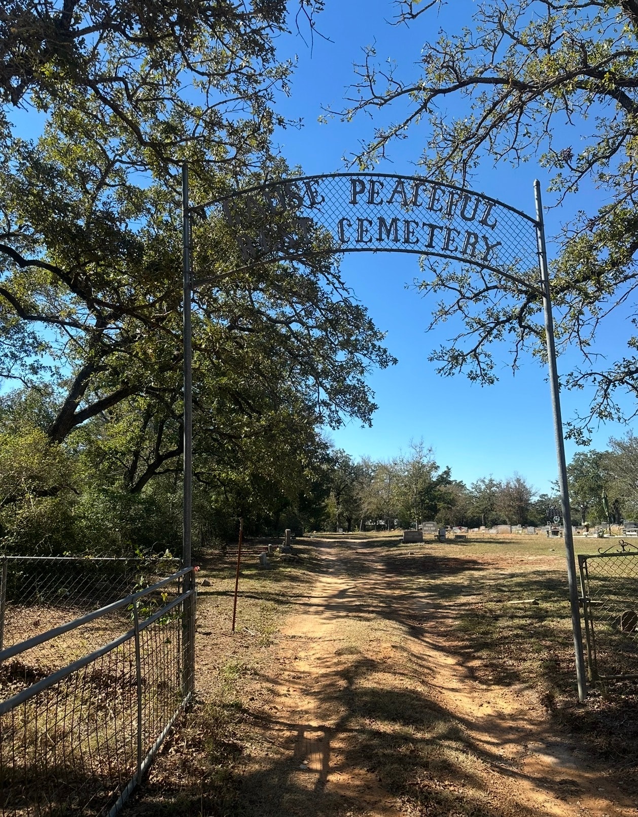 Two cemetery signs at the entrance to Peaceful Rest Cemetery, Gause, Texas — the weathered green Gause Peaceful Rest Cemetery sign and the newer white directional sign pointing left down a dirt road. Oak trees, open sky.
